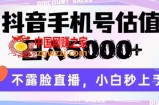 抖音手机号估值，日入5000+，不露脸直播，小白秒上手【揭秘】