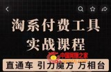 淘系付费工具实战课程：战略优化，实操演练【直通车、引力魔方】（价值1299）
