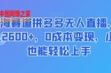蓝海赛道拼多多无人直播，日入2600+，0成本变现，小白也能轻松上手【揭秘】