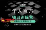 自媒体年入百万镰刀训练营，割割割割割割割割，自媒体心法+实操全套流程