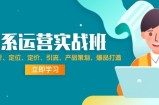（12186期）淘系运营实战班：市场分析、定位、定价、引流、产品策划，爆品打造