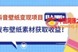 抖音壁纸变现项目：通过壁纸素材做图发布图文视频，观众下载壁纸，从而获取壁纸收益