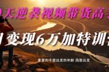 30天逆袭视频带货高手，单月变现6万加特训营-麦子甜