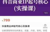 抖音商业IP起号核心实操课，带你玩转算法，流量，内容，架构，变现