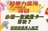 超暴力蓝海项目，办理一张流量卡一百块？轻轻松松月入过万，保姆级教程【揭秘】