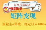 公众号软件玩法私域引流网盘拉新，多种变现，稳定日入1000【揭秘】
