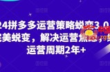 2024拼多多运营策略蜕变3.0，0-1完美蜕变，解决运营焦虑，缩短运营周期2年+