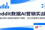 Reddit数据AI营销实战课：借鉴谷歌AI思路挖掘用户洞察，优化页面提升搜索排名