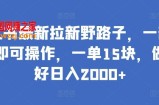 小红书最新拉新野路子，一部手机即可操作，一单15块，做得好日入2000+【揭秘】