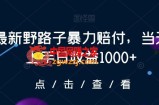 最新野路子暴力赔付，当天上手日收益1000+【仅揭秘】