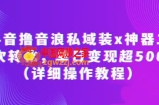 抖音撸音浪私域装x神器二次转化，单日变现超500（详细操作教程）【揭秘】