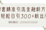 1套精准引流金融粉方法，轻松日引300+粉丝【视频课程】