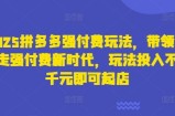2025拼多多强付费玩法，带领全网走强付费新时代，玩法投入不超千元即可起店