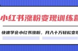 2024小红书的19天增粉转现夏令营，迅速懂得小红书的增粉，月入十万轻轻松松转现（42节）
