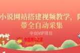 搭建小说网站：附带全自动采集流量来得快、变现容易（搭建教程+源码)