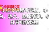 小红书课程专业版，小白，达人，品牌商家，小红书电商教程