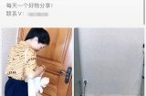 视频号种草号赚钱项目解析：一天赚1000+的实战操作！