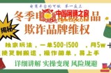 利用电商平台冬季销售取暖用品欺诈行为合理制裁店铺，单日入900+【仅揭秘】