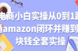 电商小白实操从0到1跑通amazon闭环并赚到一块钱全套实操【付费文章】