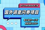 新手零成本零门槛可操作的国外调查问券项目，每天一小时轻松收入200+