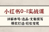 小红书0-1实战课(2023-2025