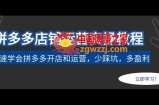拼多多店铺运营实操教程：快速学会拼多多开店和运营，少踩坑，多盈利