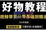 锅锅老师好物分享课程：短视频带货从零基础到精通，只需手机+实操