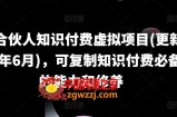 IP合伙人知识付费虚拟项目(更新24年6月)，可复制知识付费必备的能力和修养