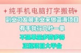 纯手机电脑打字搬砖，有手就行，几秒一单，多劳多得，正规项目大平台【揭秘】