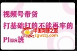 大播汇·视频号带货Puls班，视频号底层逻辑，起号自然流鱼塘等玩法
