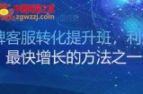 金牌客服转化提升班，利润率最快增长的方法之一