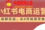 小红书店铺运营从小白到大神2.0，从入门到精通