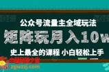 麦子甜公众号流量主全新玩法，核心36讲小白也能做矩阵，月入10w+