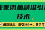 闭鱼精准引流，日引300+创业粉保姆级教程，新手可做