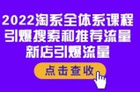 2022淘系全体系课程：引爆搜索和推荐流量，新店引爆流量