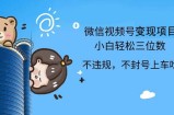 （12660期）2024最新微信视频号，0撸项目，自己玩，小白轻松日入三位数