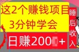 这2个项目，3分钟学会，日赚几张，懒人捡钱