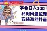学会日入300＋，利用网盘拉新安装海外抖音保姆级教学【揭秘】