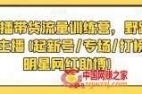 直播带货流量训练营，野路子主播(起新号/专场/打榜/明星网红助博)