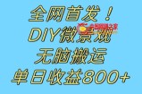 全网首发冷门赛道！DIY微景观，无脑搬运视频，日收益800+【揭秘】