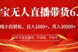 淘宝无人直播带货6.0，不违规，不封号，纯小白轻松上手，月入过万