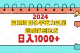 （12828期）2024最新蓝海项目快手磁力巨星最新最详细玩法