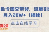 小红书色卡图文带货，流量引爆单人月入20W+【揭秘】