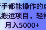 新手都能操作的虚拟搬运项目，轻松月入5000+【视频教程】