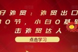 外贸出口详解30节，小白0基础进击外贸达人（原价666元）