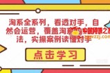 淘系全系列，看透对手，自然会运营，覆盖淘系99%的打法，实操案例读懂对手