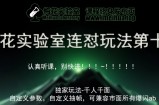 梅花实验室社群专享课视频号连怼玩法第十期课程+第二部分-FF助手全新高自由万能爆闪AB处理