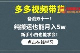 多多视频带货，备战双十一，纯搬运也能月入5w，新手小白也能学会