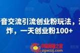 抖音语音交流引流创业粉玩法，流量爆炸，一天创业粉100+