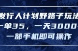 （11750期）发行人计划野路子玩法，一单35，一天3000+，一部手机即可操作